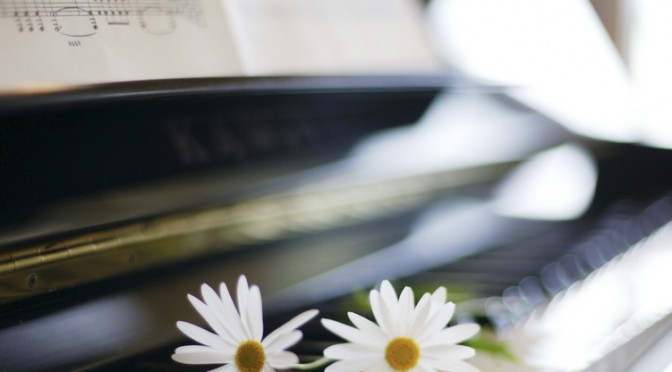 Daisies on Piano